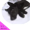 Menina 2