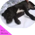Menina 2