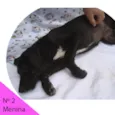 Menina 2