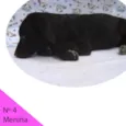 Menina 4