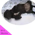 Menina 4