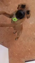 Marley 