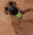 Marley 