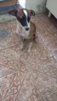 Lili