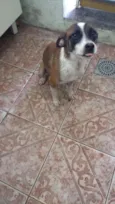 Lili