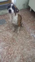 Lili