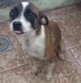 Lili