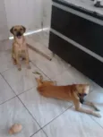 Bob e Marley