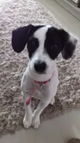 Princesa