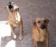 Bob e Marley