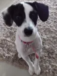 Princesa