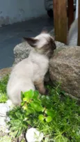 Minduin
