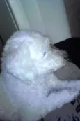 Tammy