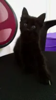 Nina