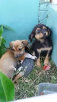 sem nomes