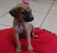 não tem