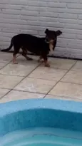 Nick