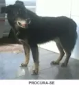 Huck