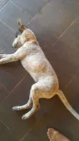 Diego