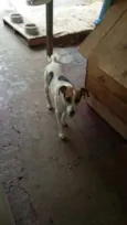 Beto