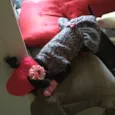 Laila
