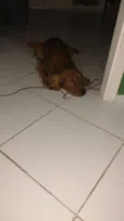Lucky
