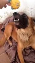 Bob