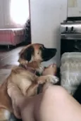 Bob