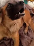 Bob
