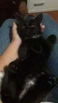 Felicia
