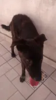 spock