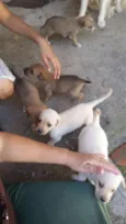 Não tem no me ainda