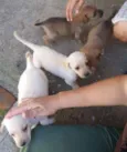 Não tem no me ainda