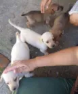 Não tem no me ainda