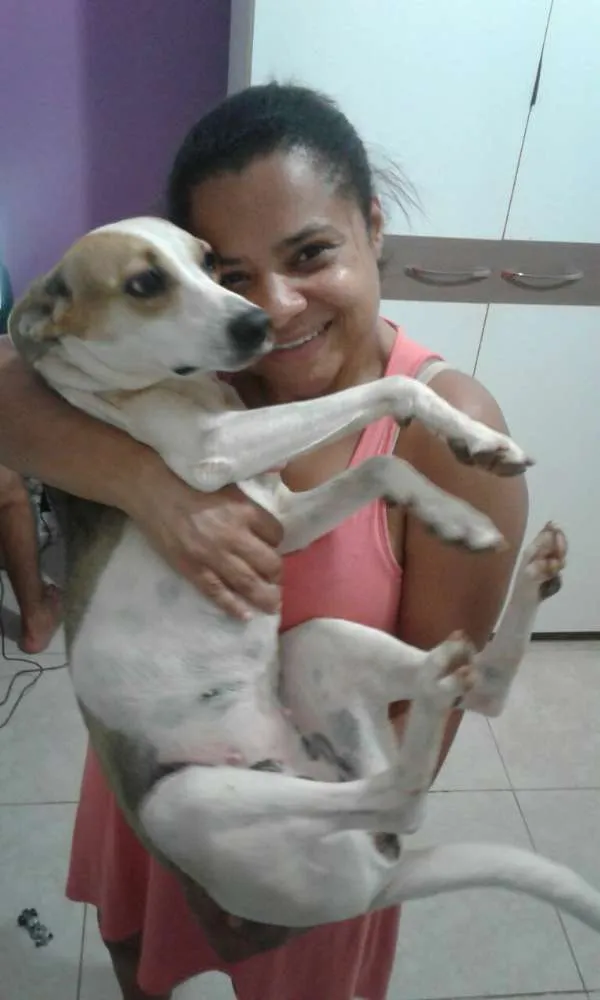 Cachorro ra a SRD idade 3 anos nome princesa e ambrosinh