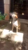 Thor e Jonas