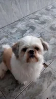 BOBY