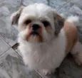 BOBY