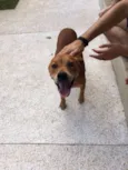 Chester
