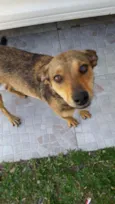 Lilica