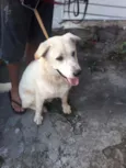 Ludos