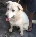 Ludos