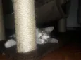 Chloe 