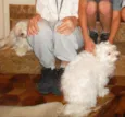 Hanna e Hanninha