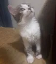 Chloe 