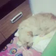 Bob