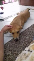 Mel