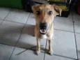 Mel