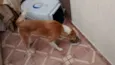 Bili