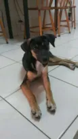 Lucy